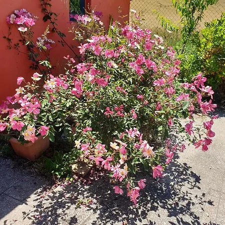 La Confluenza Appartement *