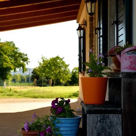 La Confluenza * Osimo